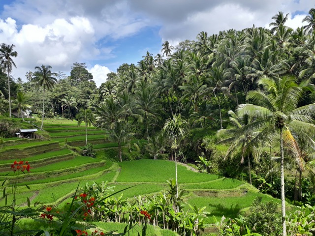 Visiting Popular Tourist Attractions