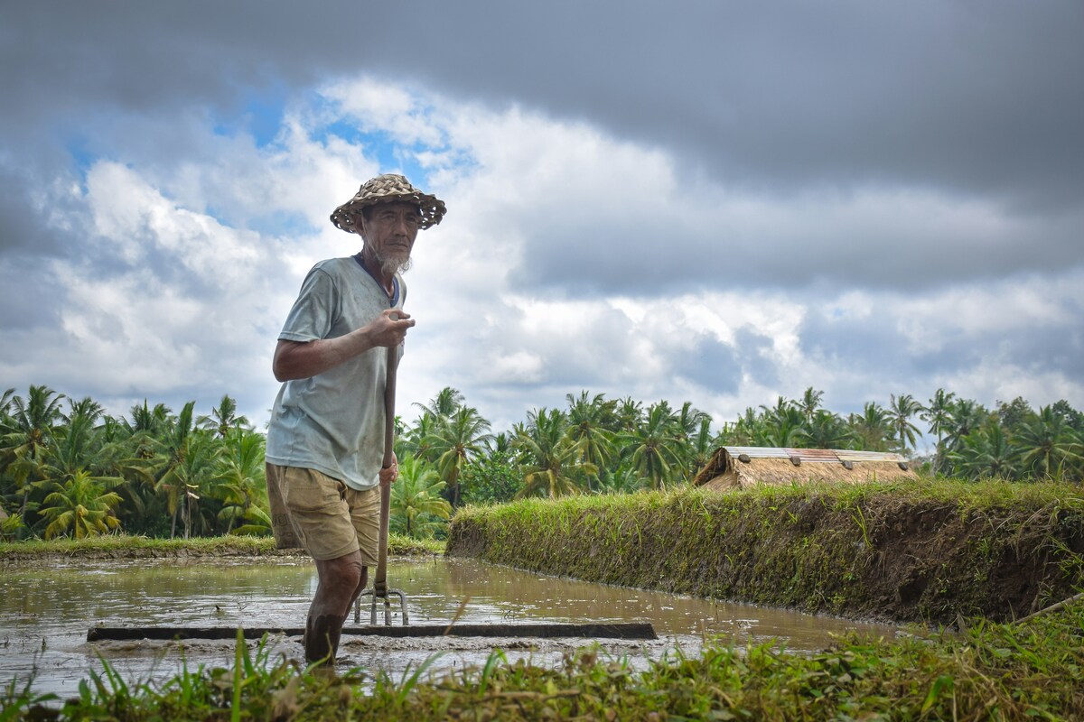 The Subak System