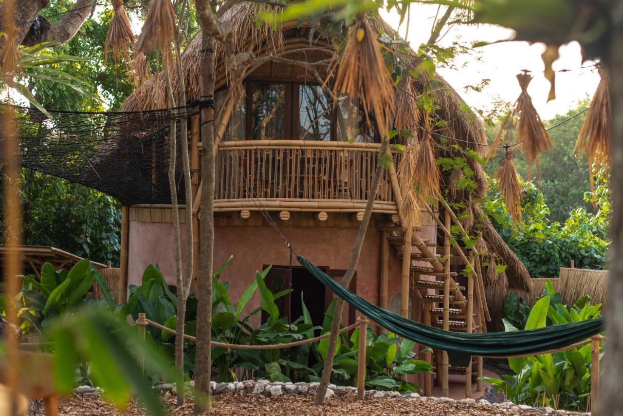 Alpaca Lodge